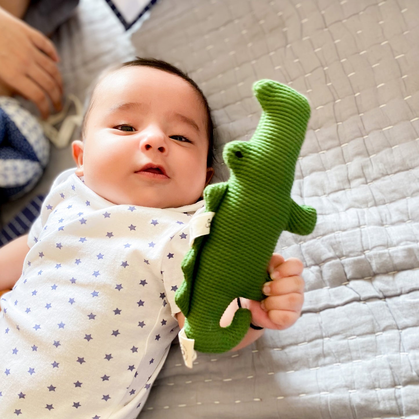 Rattle Set - Croco and Dino